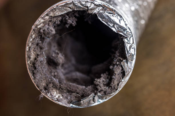 Best Air Duct Cleaning Near Me  in Beavercreek, OR